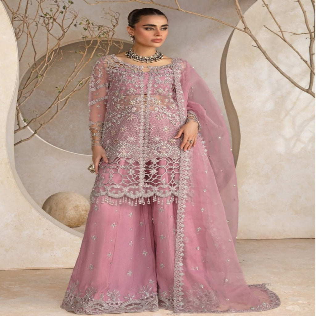 RANGRASIYA – LUXURY ORGANZA COLLECTION