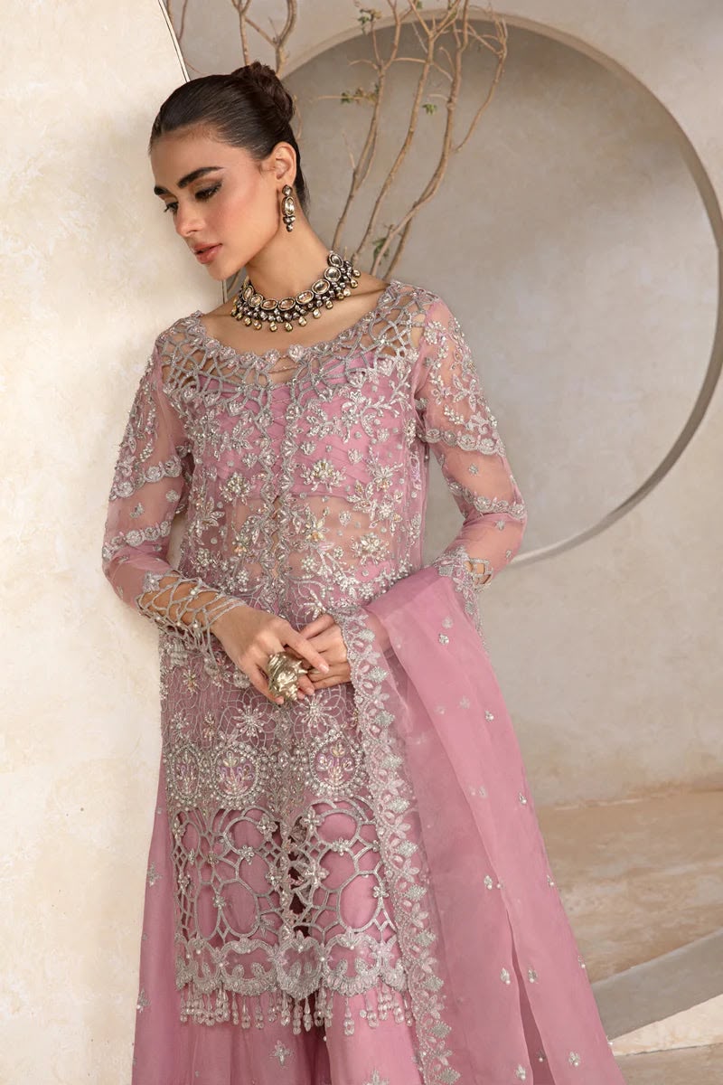 RANGRASIYA – LUXURY ORGANZA COLLECTION