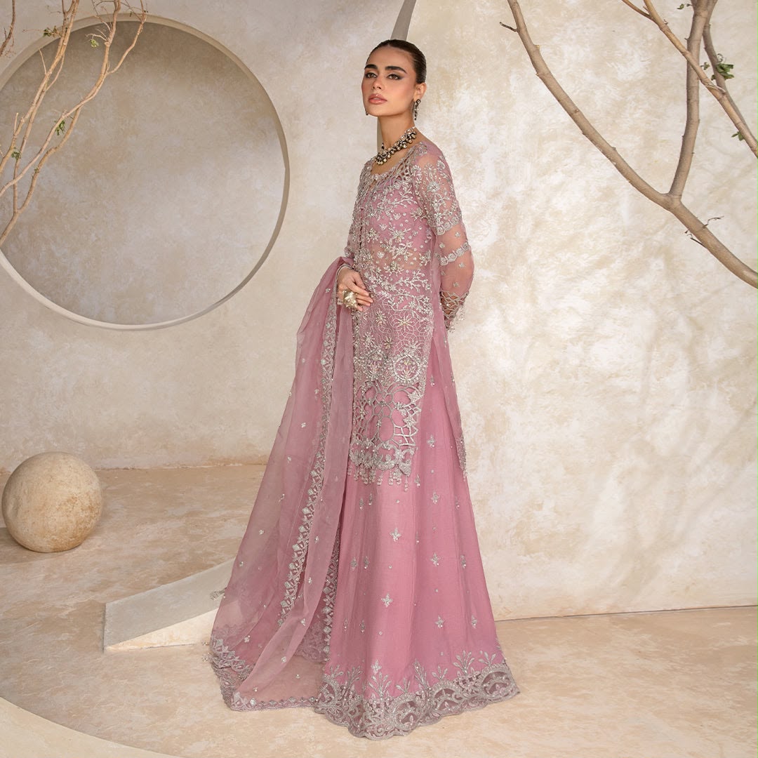 RANGRASIYA – LUXURY ORGANZA COLLECTION