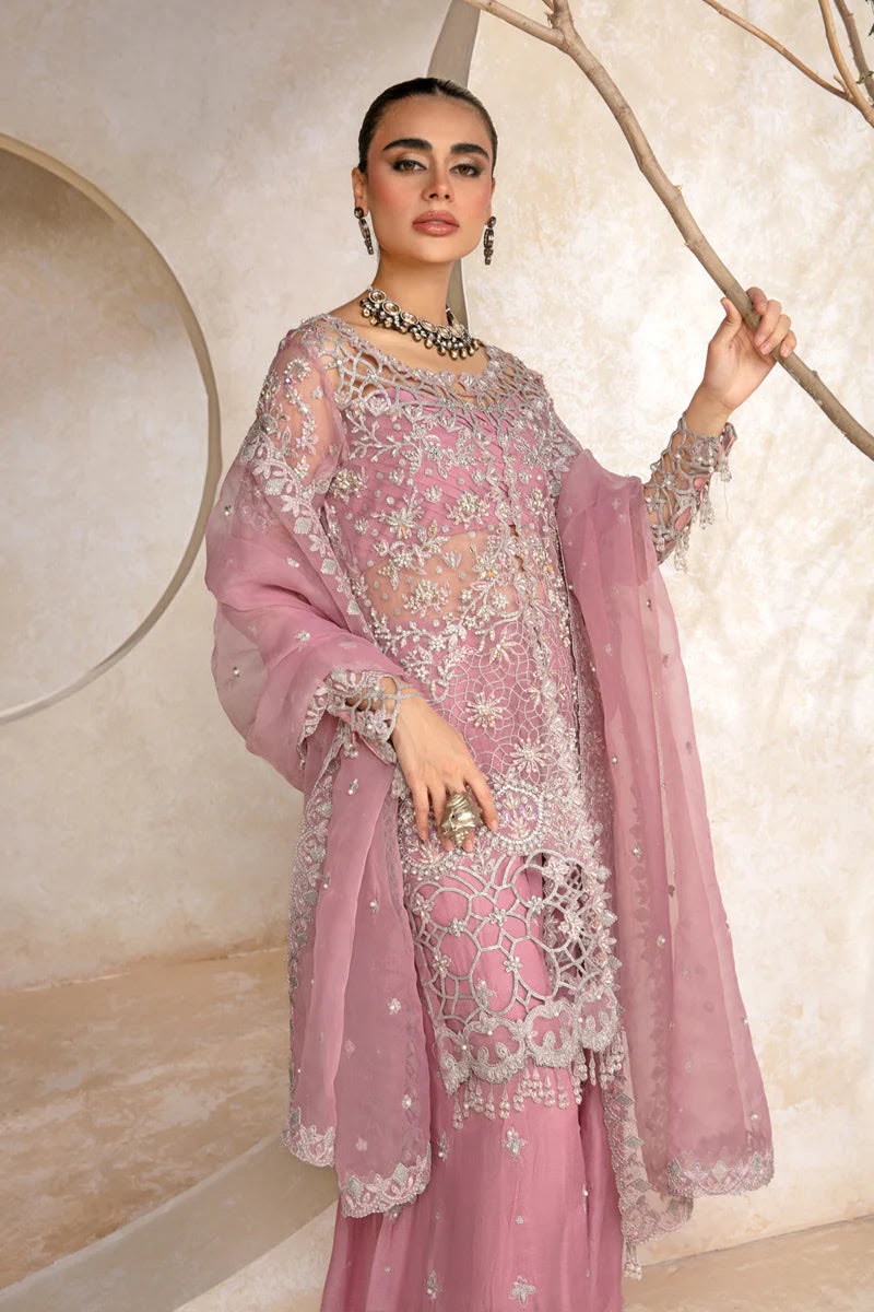 RANGRASIYA – LUXURY ORGANZA COLLECTION