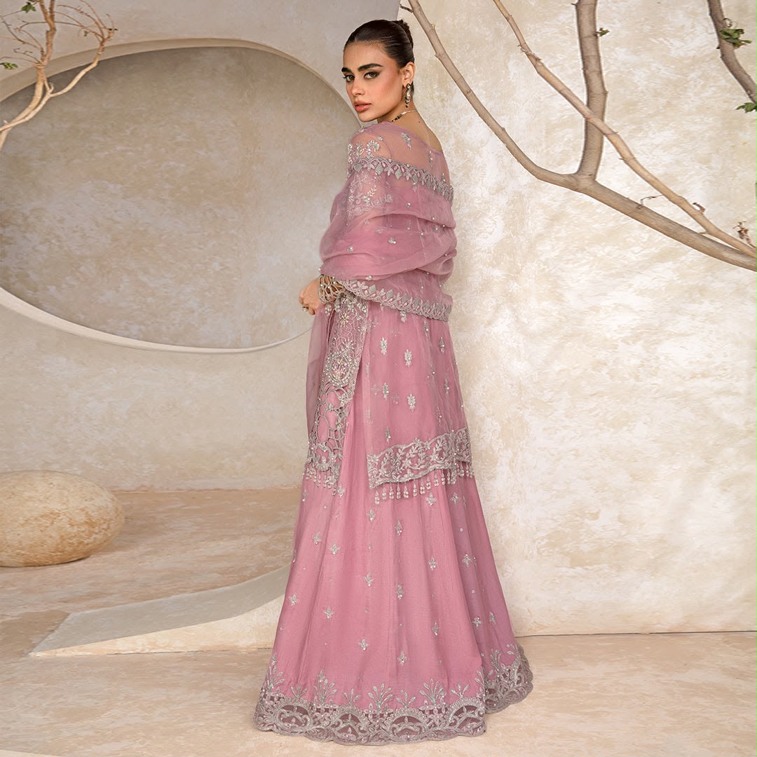 RANGRASIYA – LUXURY ORGANZA COLLECTION